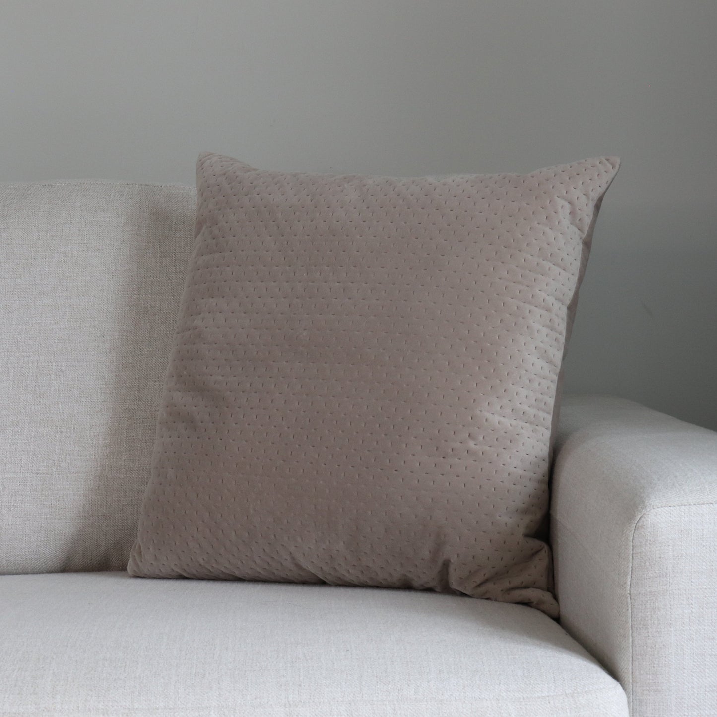 TP021-Patterned Beige Velvet