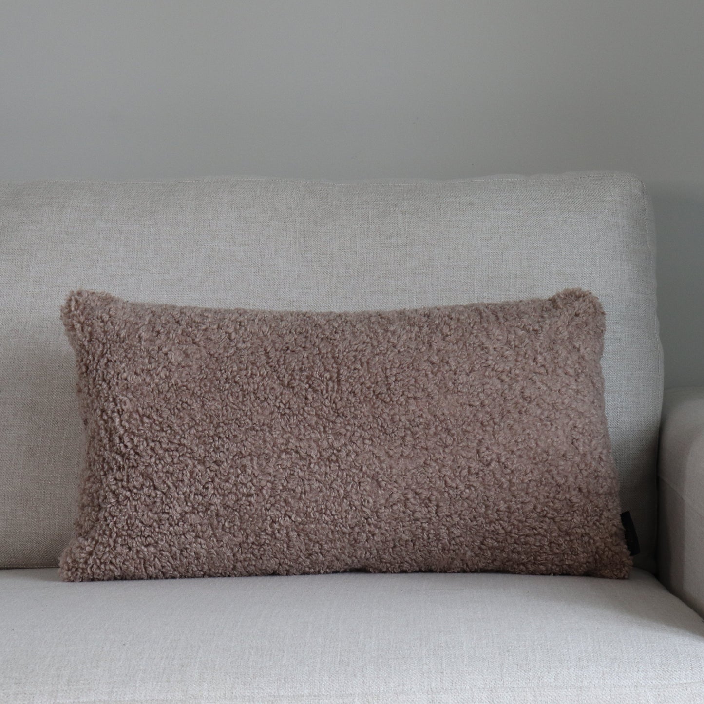 TP025-Brown Boucle