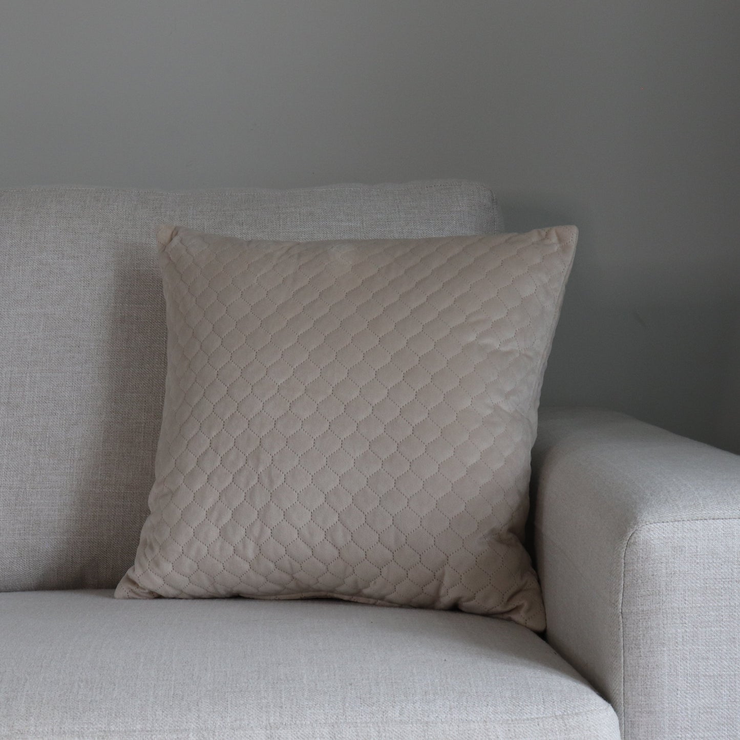 TP027-Beige Patterned Velvet