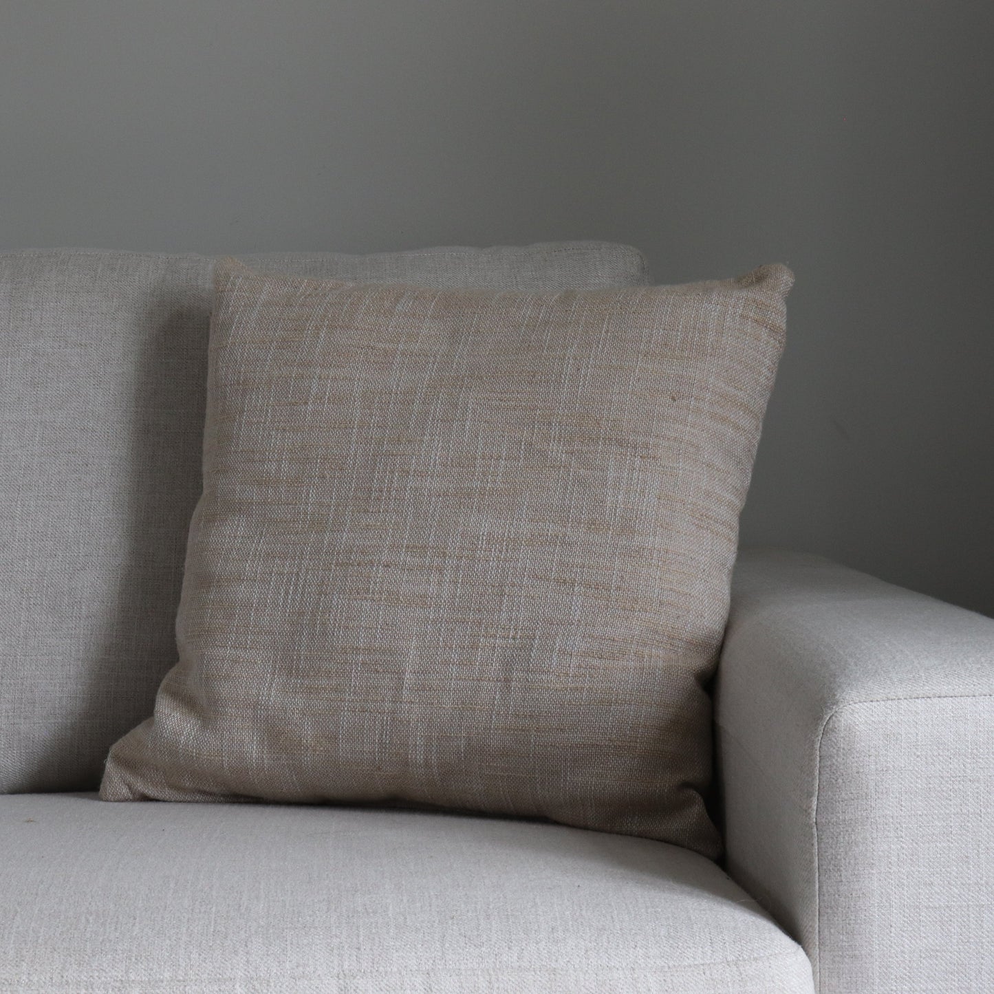 TP031-Beige Woven Texture
