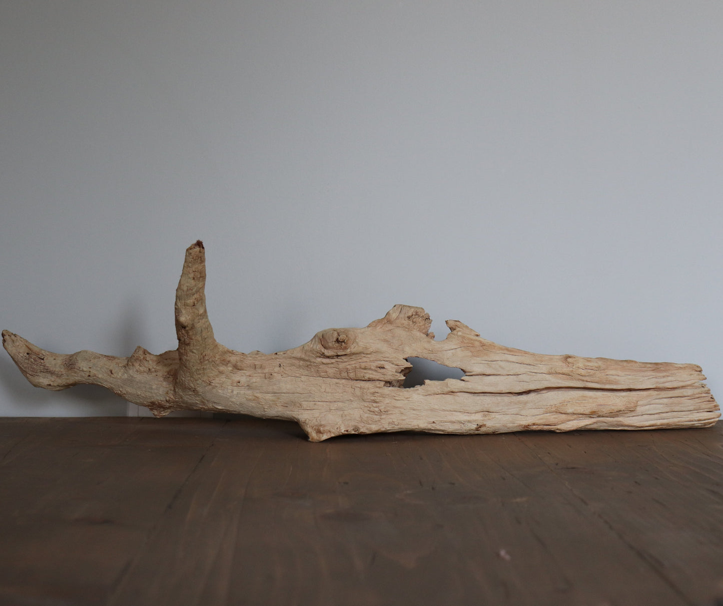 Driftwood