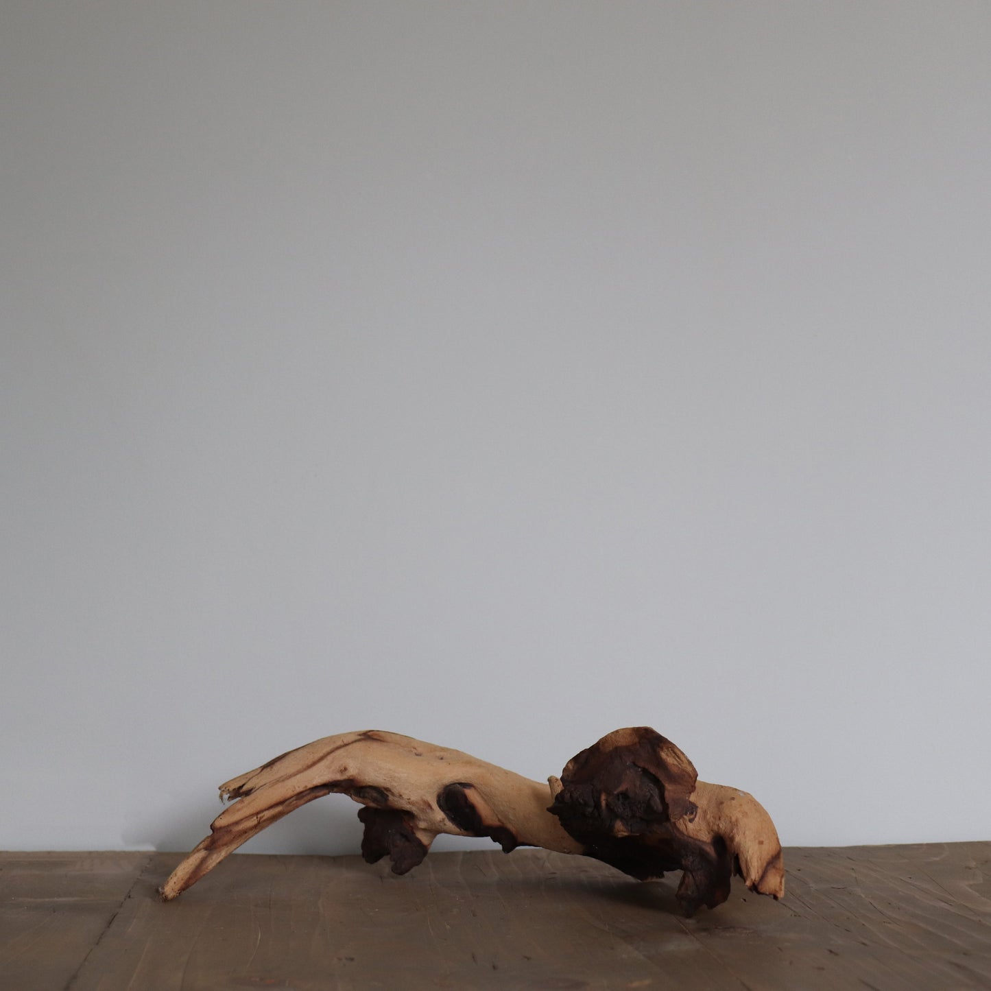 Driftwood Branch 2