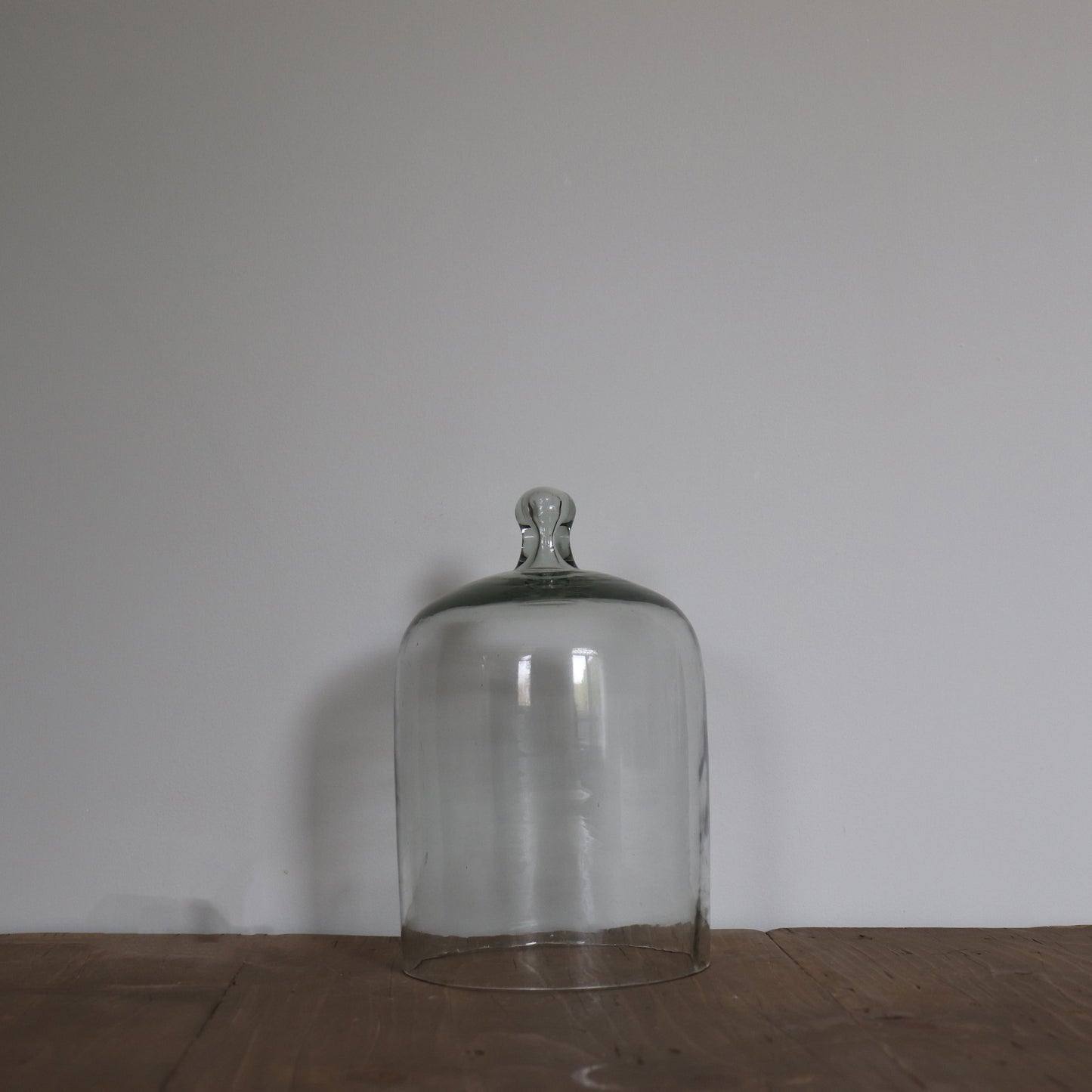 Large Glass Cloche