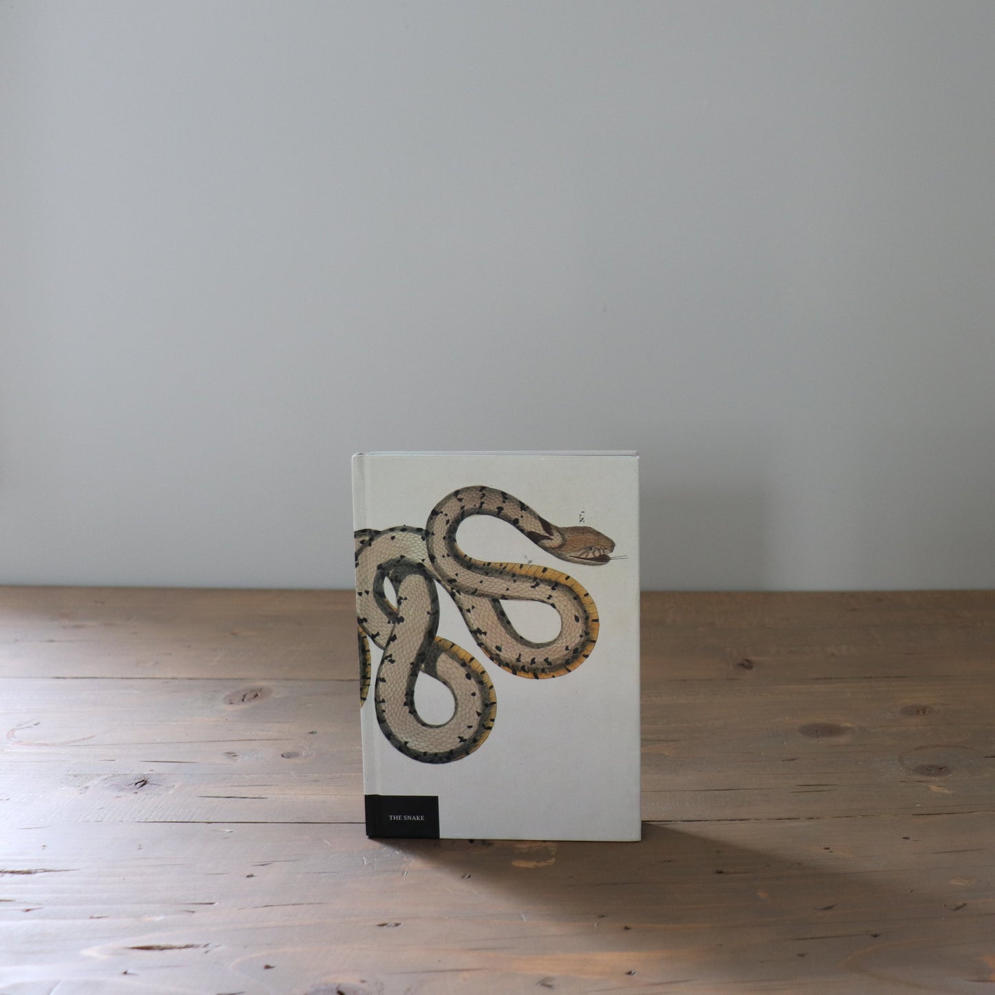 Small Hardcover Snake Book