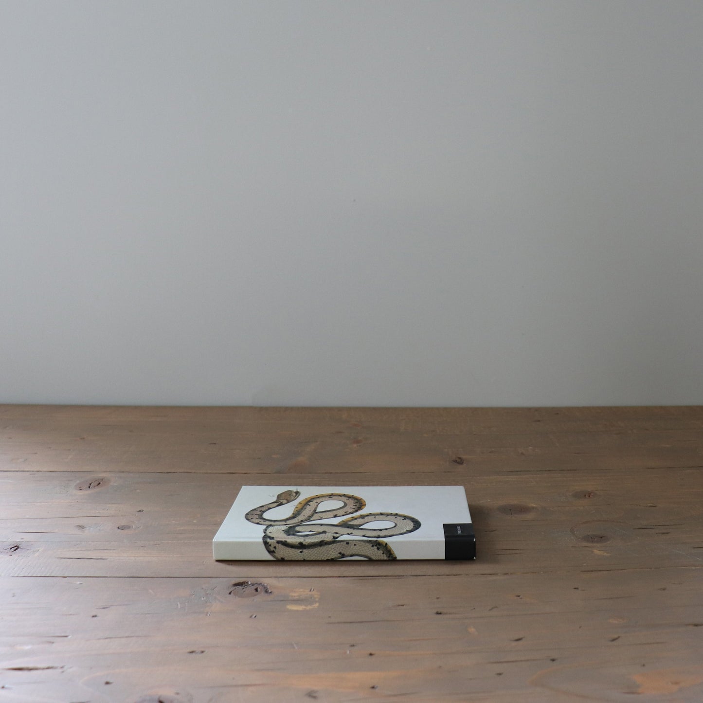 Small Hardcover Snake Book