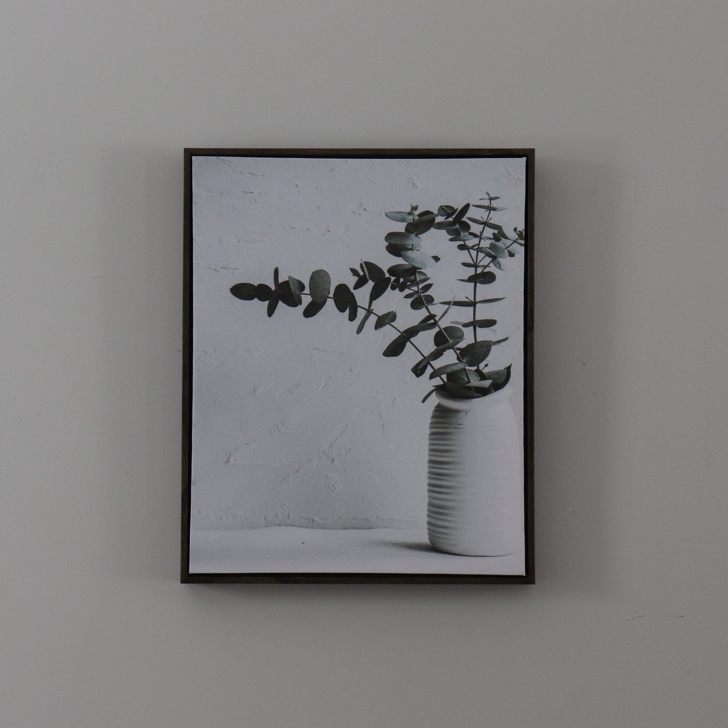C009-Eucalyptus Canvas
