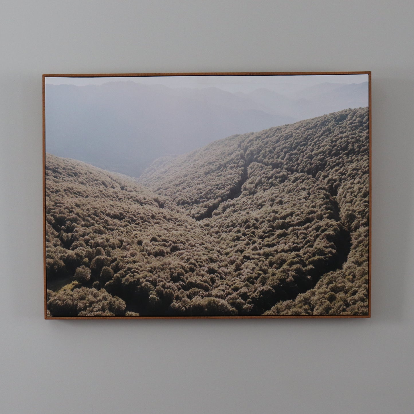 C015-Landscape Canvas