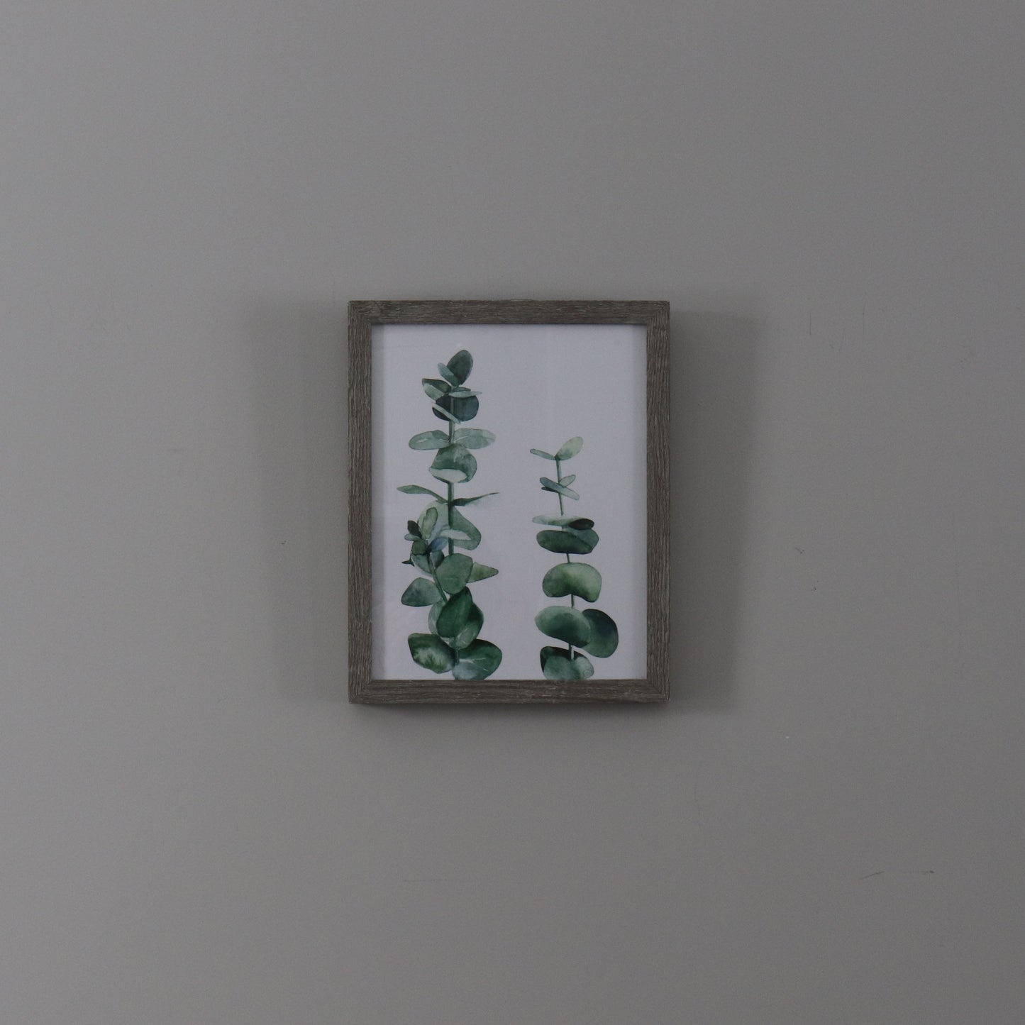 C0019-Eucalyptus Frame